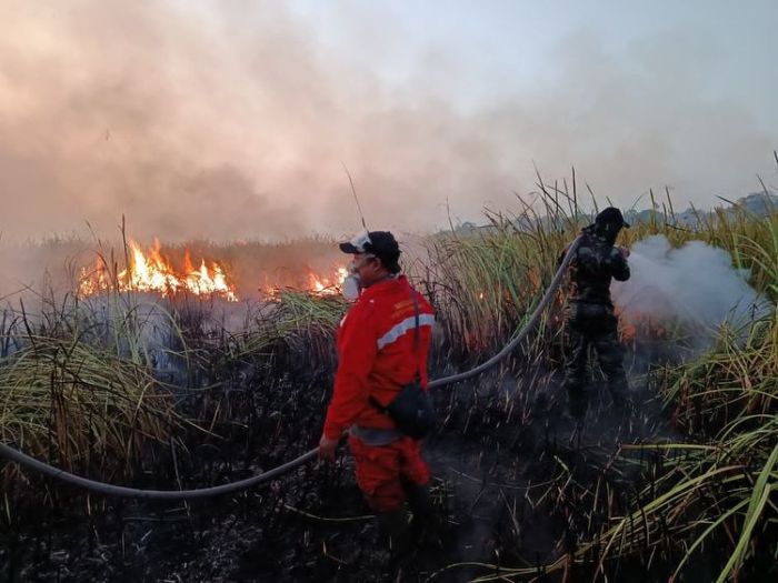 Ancaman kebakaran hutan dan lahan (karhutla) di Kalimantan Selatan belum mereda