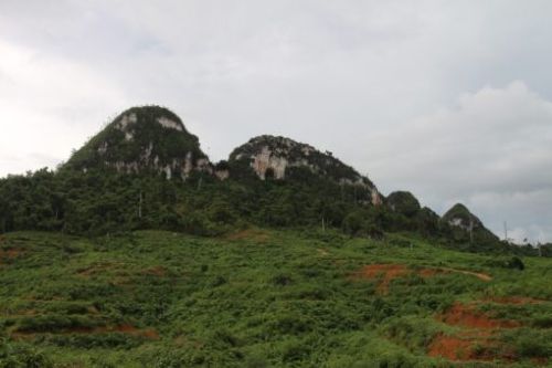 Kawasan Karst Sangkulirang-Mangkalihat /foto : laman Pemkab Kutim