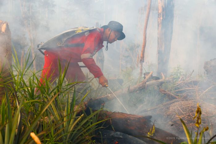 Cegah Karhutla Meluas, Otorita IKN Larang Bakar Lahan hingga Buang Puntung Rokok