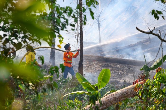 Otorita Ibu Kota Nusantara (IKN) menempuh langkah tegas dalam penegakan hukum sebagai bagian dari pengendalian kebakaran hutan dan lahan (karhutla) di kawasan Nusantara