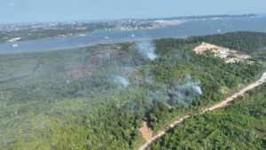 Karhutla 4 Hektare di Kariangau Padam Setelah 12 Jam, BPBD Turunkan Drone dan Gandeng Perusahaan