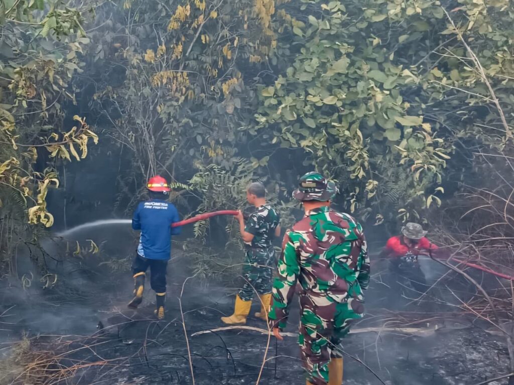 Dua Titik Karhutla di PPU, Tim Gabungan Bergerak Cepat Jinakkan Api