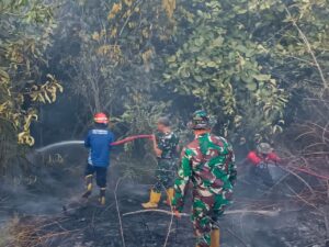 Dua Titik Karhutla di PPU, Tim Gabungan Bergerak Cepat Jinakkan Api
