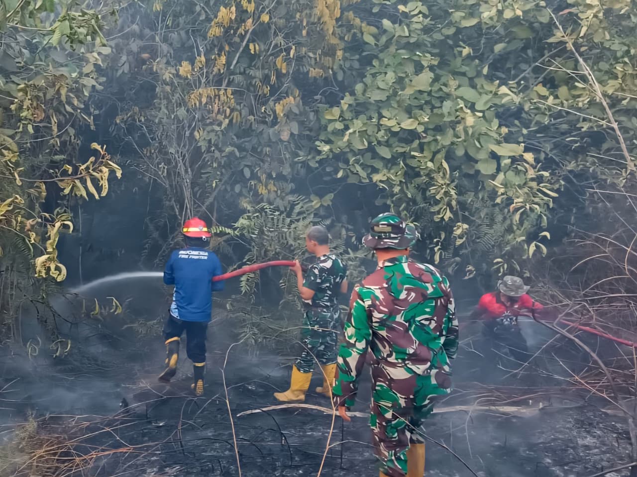 Dua Titik Karhutla di PPU, Tim Gabungan Bergerak Cepat Jinakkan Api