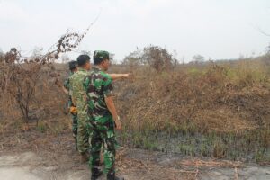 Tim TNI Turun Langsung Cek Lahan Bekas Karhutla di Kaltim