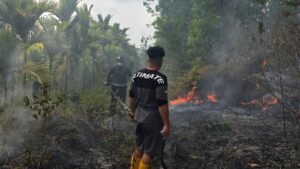 Penanganan Kebakaran hutan dan lahan (Kahutla) di Kampung Dayak Nusantara, Desa Sukomulyo, Kecamatan Sepaku, Kabupaten Penajam Paser Utara (PPU) (foto : Pendam VI Mulawarman)