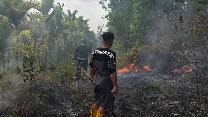 Penanganan Kebakaran hutan dan lahan (Kahutla) di Kampung Dayak Nusantara, Desa Sukomulyo, Kecamatan Sepaku, Kabupaten Penajam Paser Utara (PPU) (foto : Pendam VI Mulawarman)