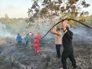 Lahan rumput kering setengah hektar di Jalan Mukmin Faisal RT 70, Kelurahan Sepinggan, Kecamatan Balikpapan Selatan yang terbakar berhasil di padamkan (foto : Polresta Balikpapan)