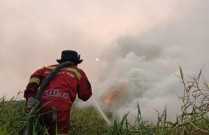 Kebakaran hutan dan lahan di Kalimantan (foto : Kemenhut)