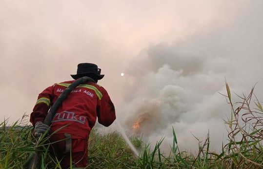 Kebakaran hutan dan lahan di Kalimantan (foto : Kemenhut)